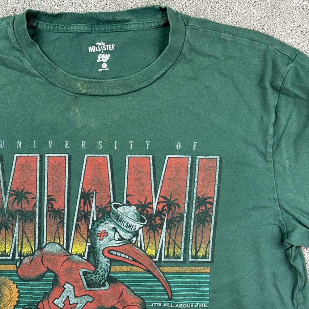 Hollister T-Shirt Mens Medium Green Miami Hurricanes Graphic Sebastian the Ibis